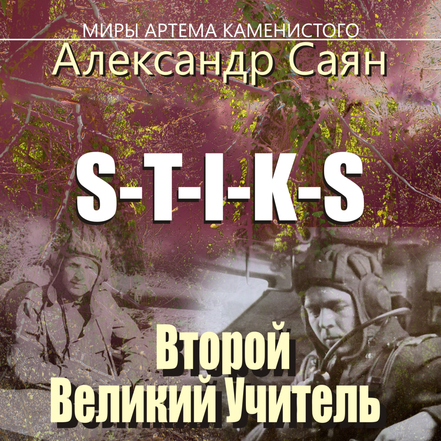 Обложка книги «S-T-I-K-S Миры Артёма Каменистого. Второй Великий Учитель»
