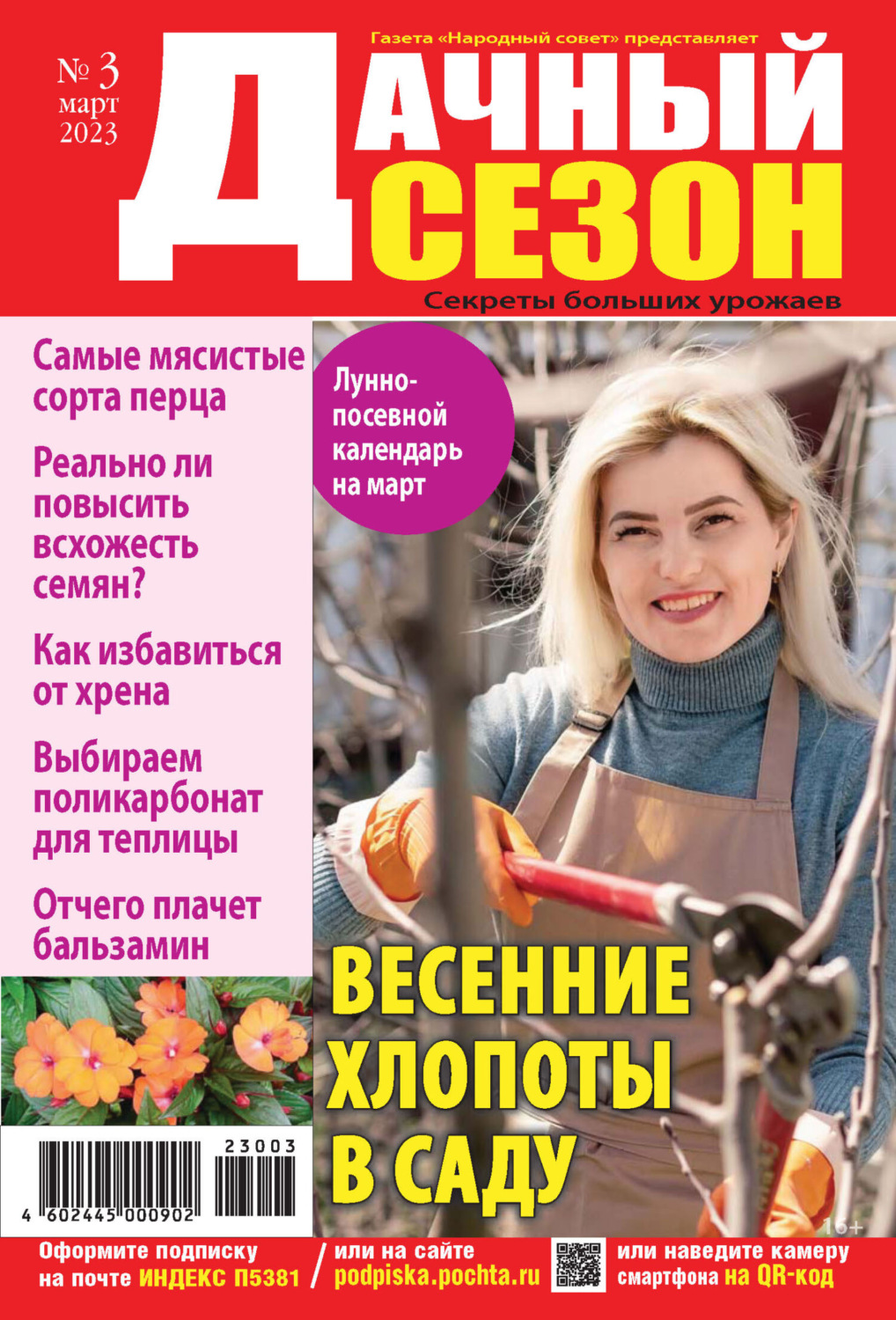 Обложка книги «Дачный сезон №03/2023»
