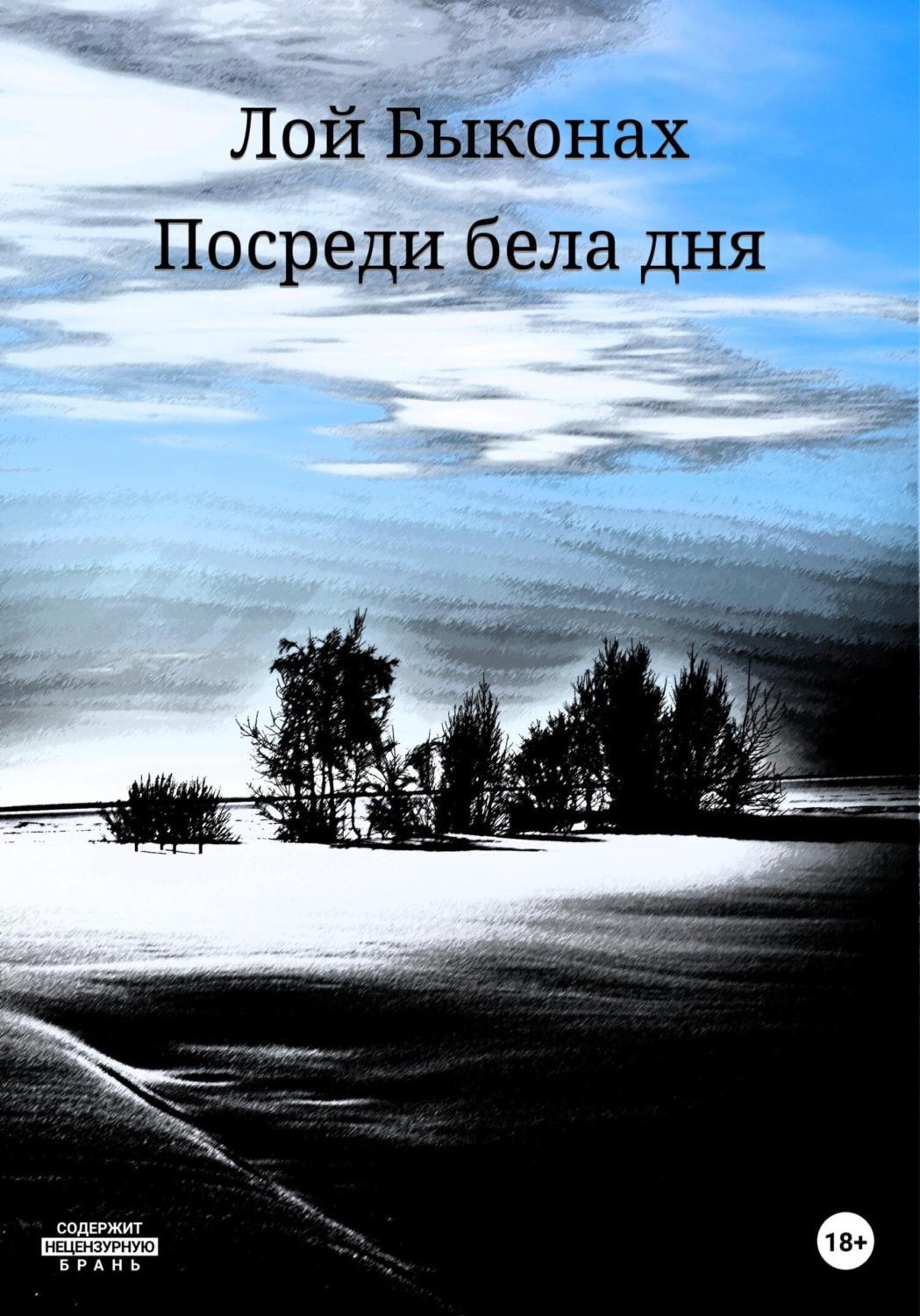 Обложка книги «Посреди бела дня»