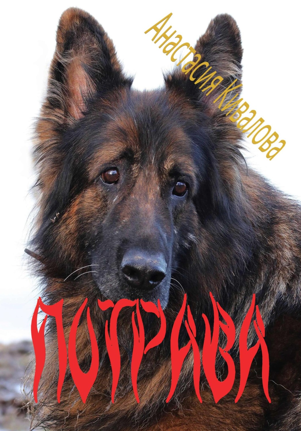 Обложка книги «Потрава»
