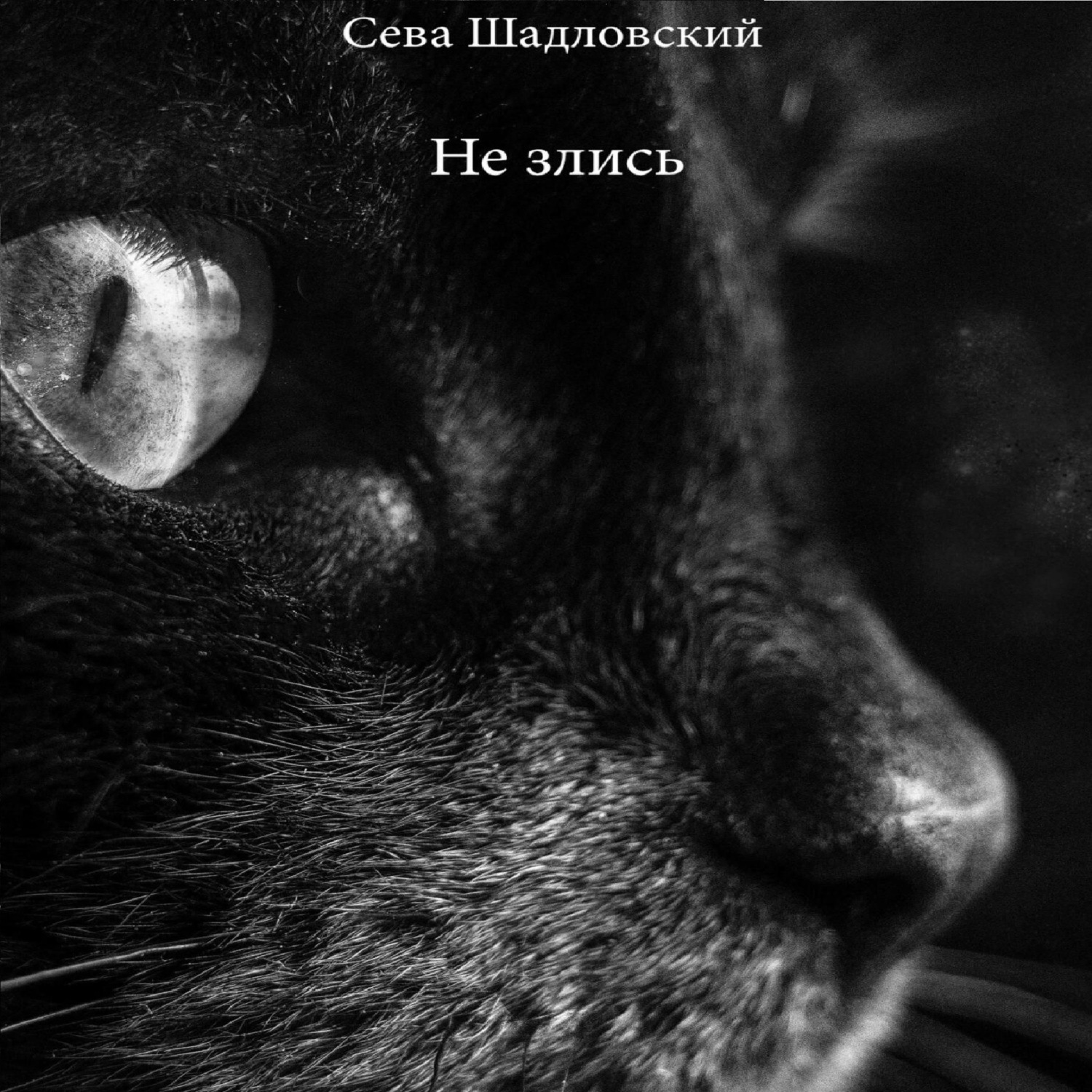Обложка книги «Не злись»
