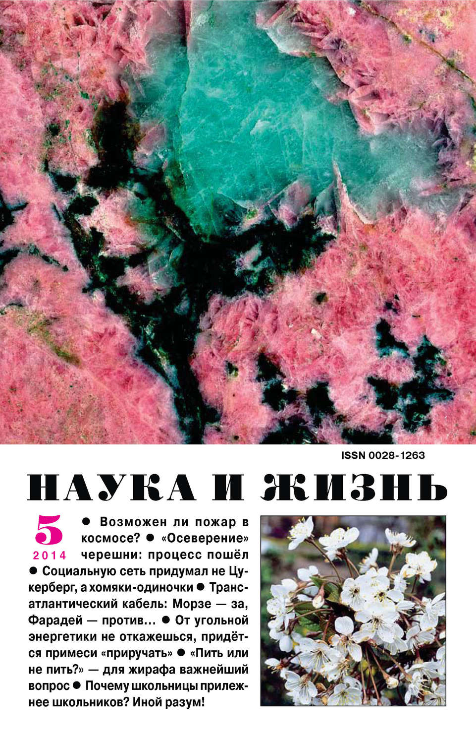 Обложка книги «Наука и жизнь №05/2014»
