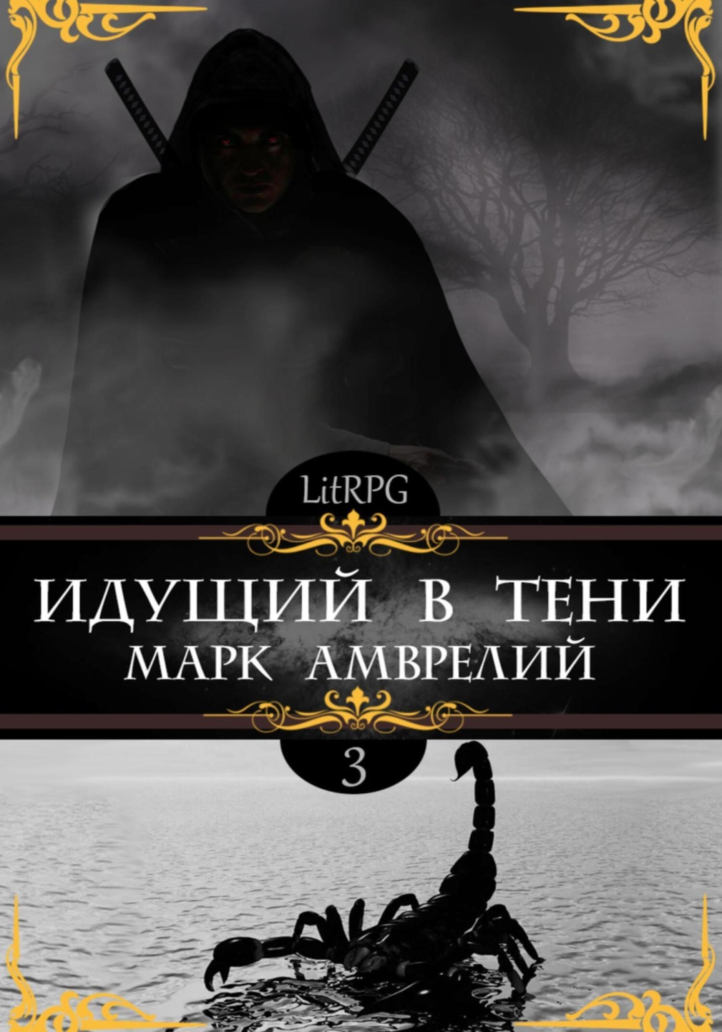 Обложка книги «Идущий в тени 3»
