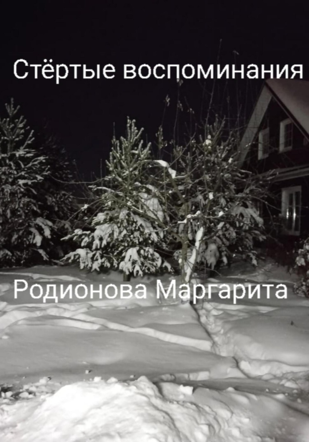 Обложка книги «Стёртые воспоминания»