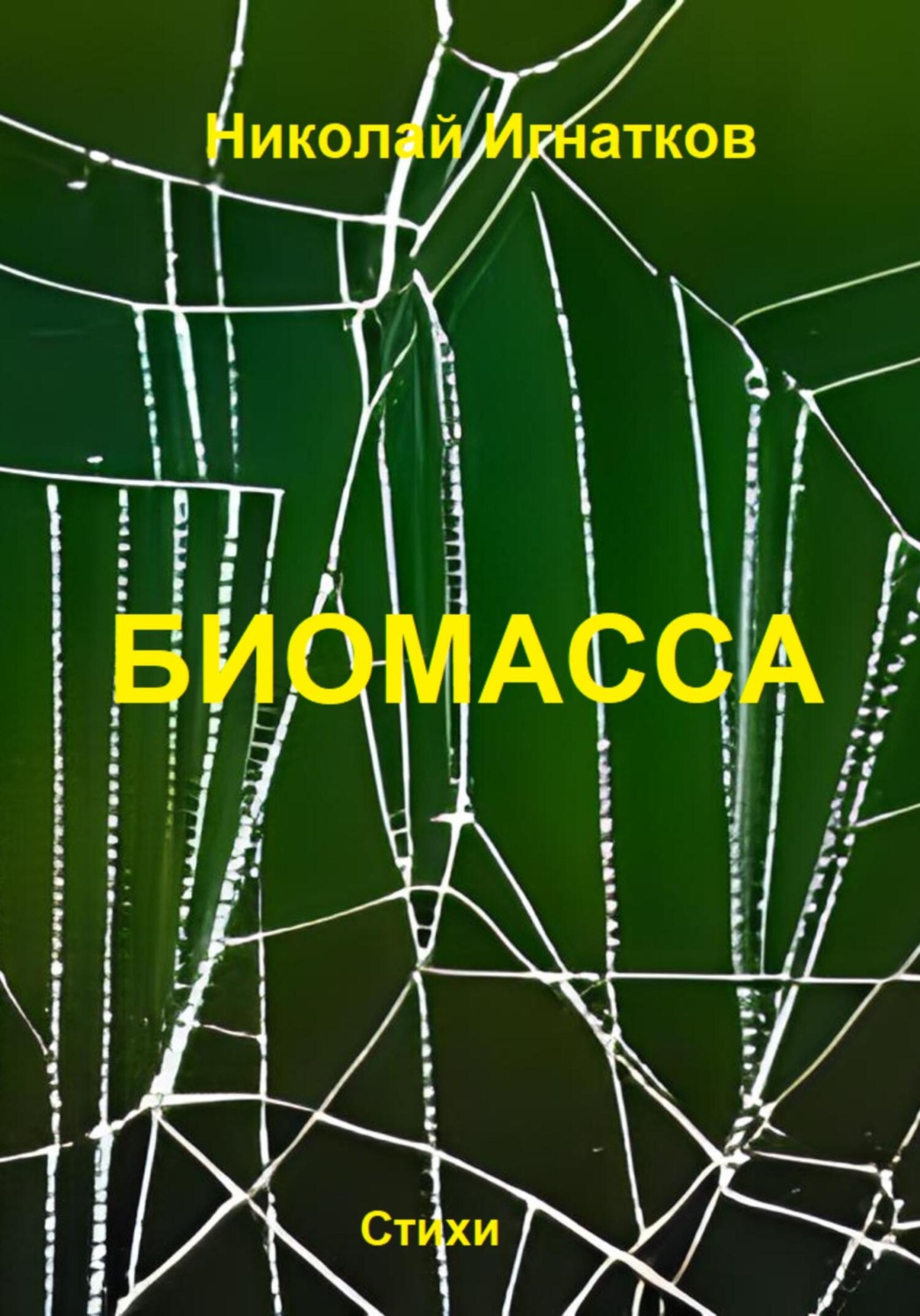 Обложка книги «Биомасса»