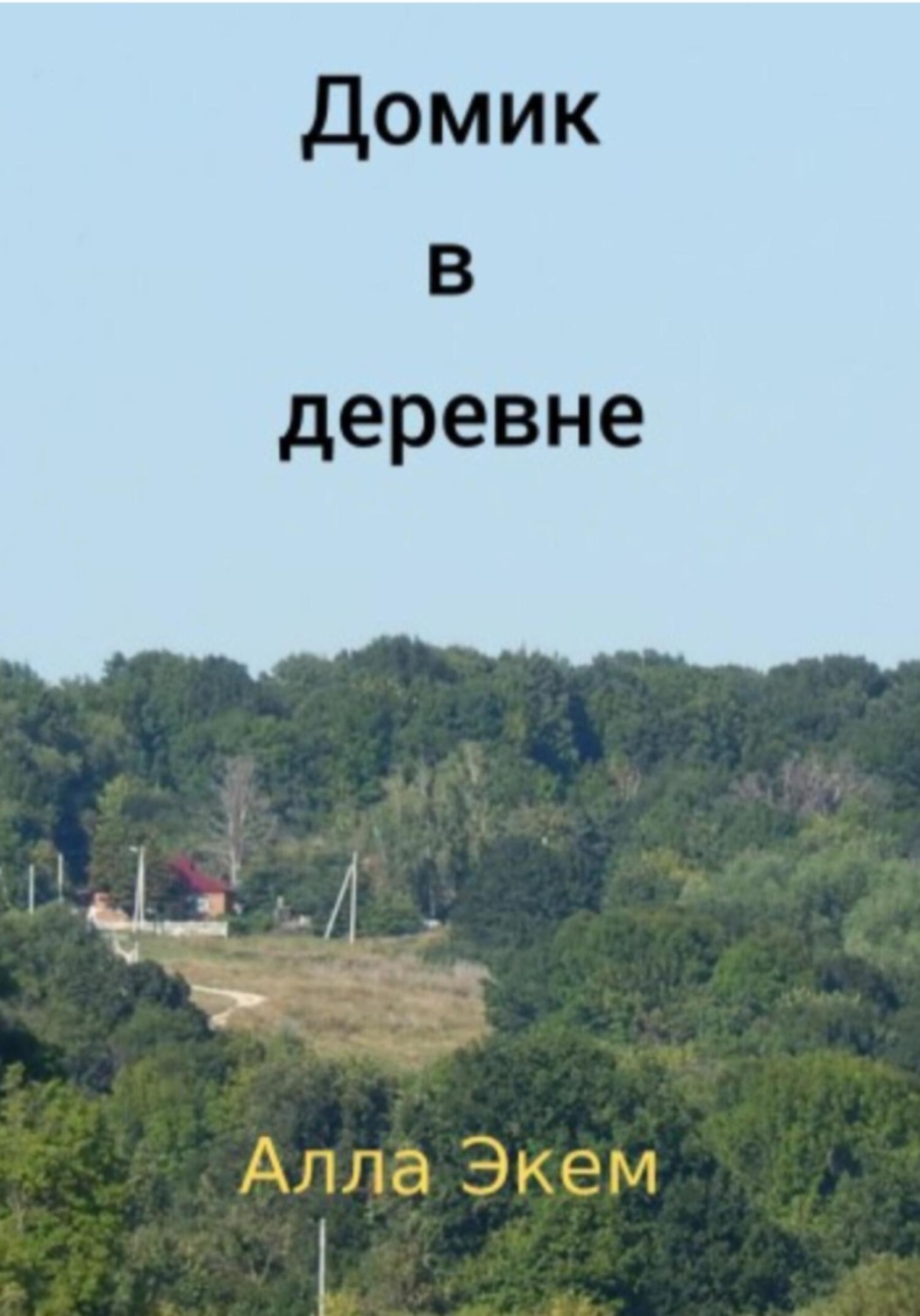 Обложка книги «Домик в деревне»
