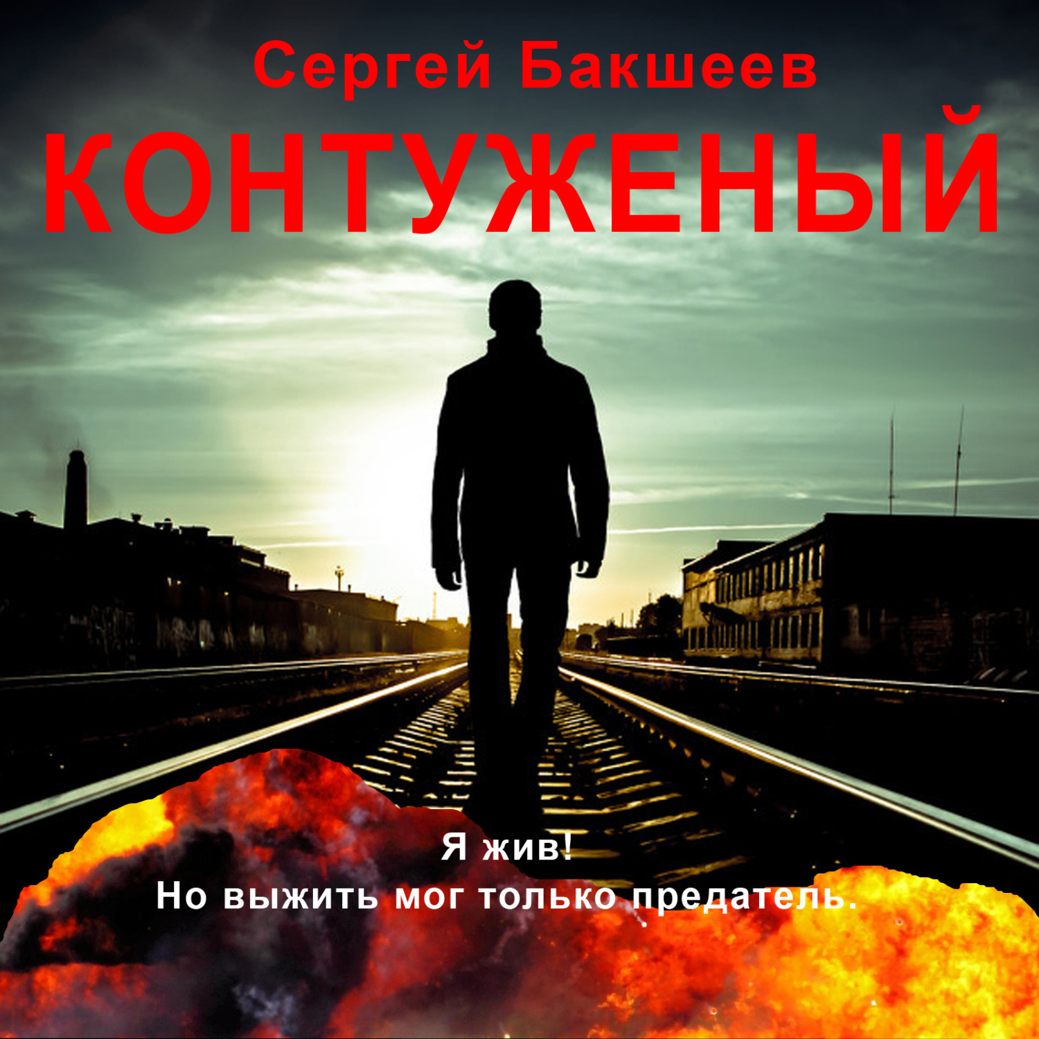 Обложка книги «Контуженый»