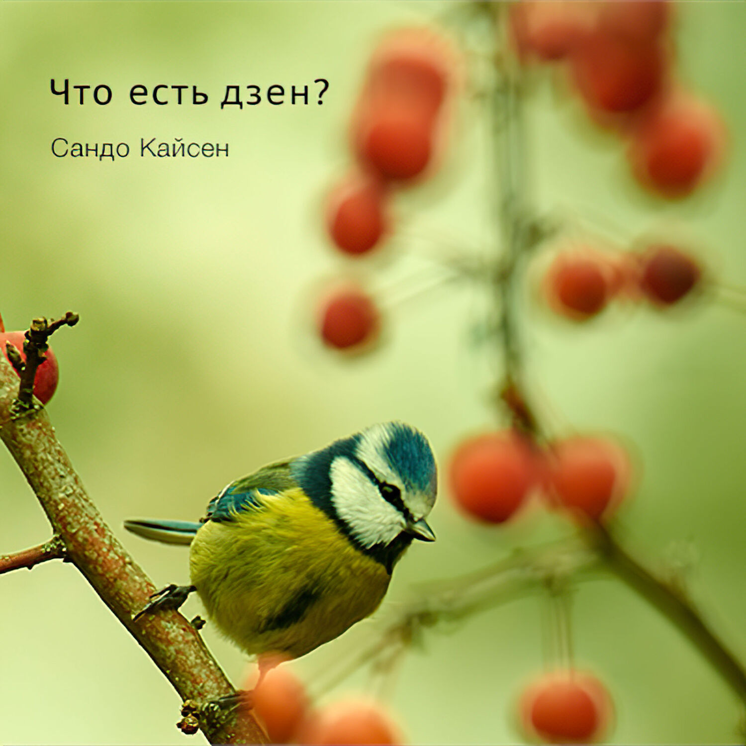 Обложка книги «Что есть дзен?»