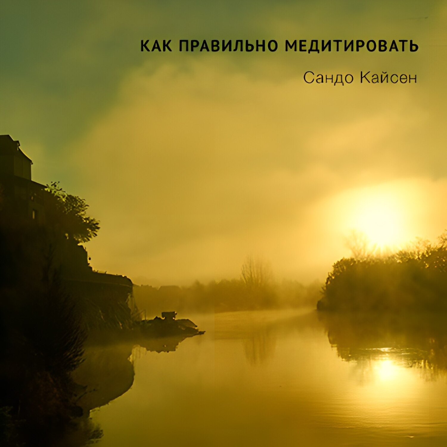 Обложка книги «Как правильно медитировать»