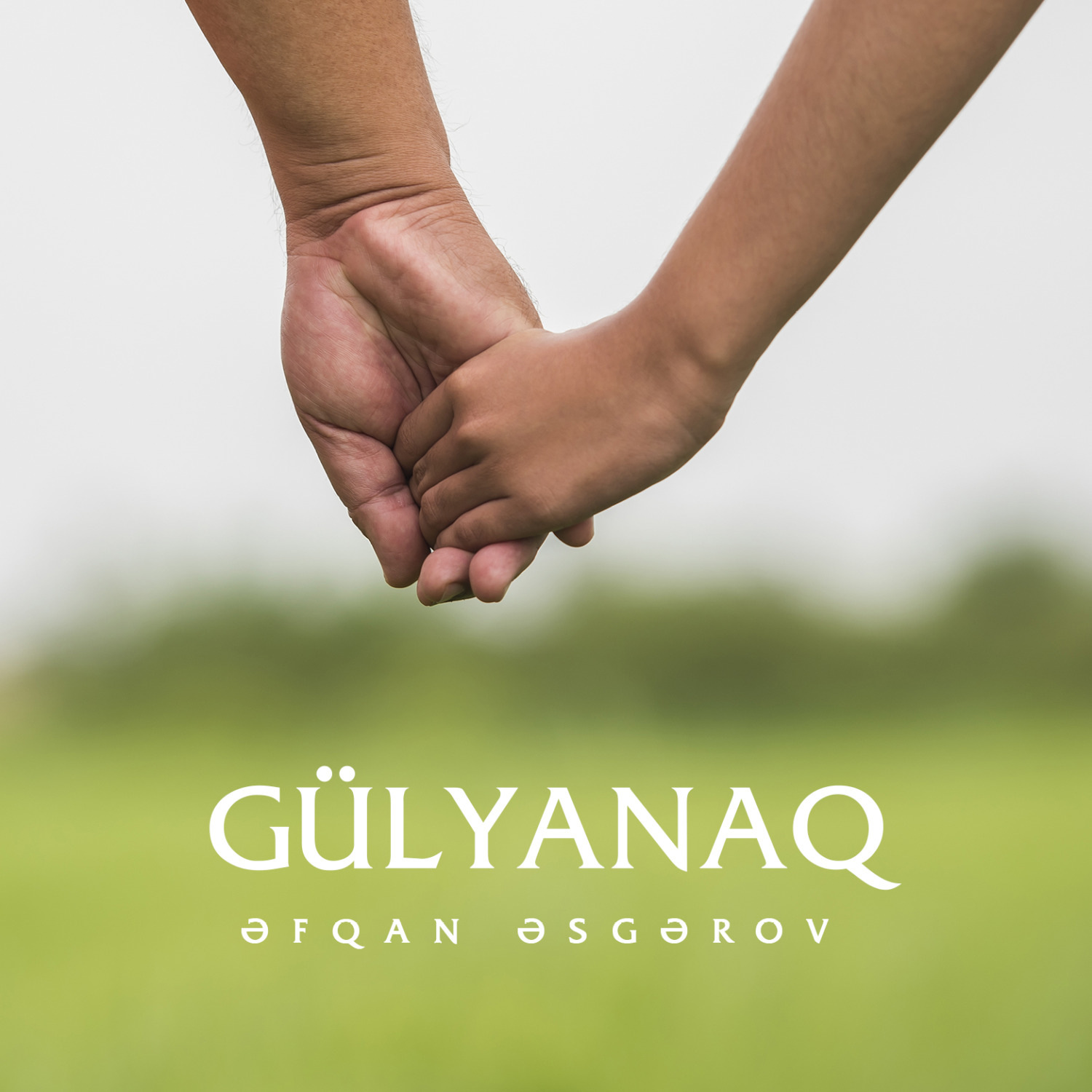 Обложка книги «Gülyanaq»