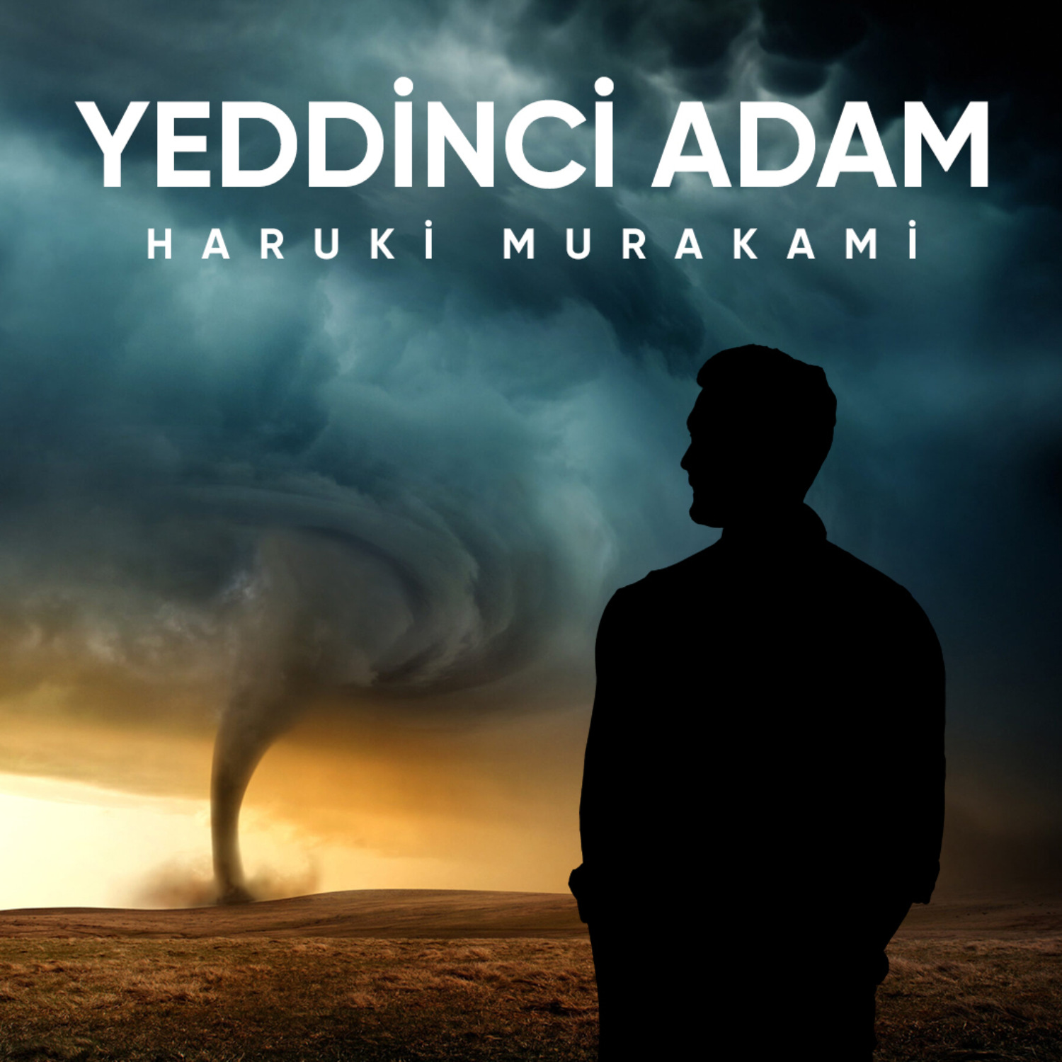 Обложка книги «Yeddinci adam»