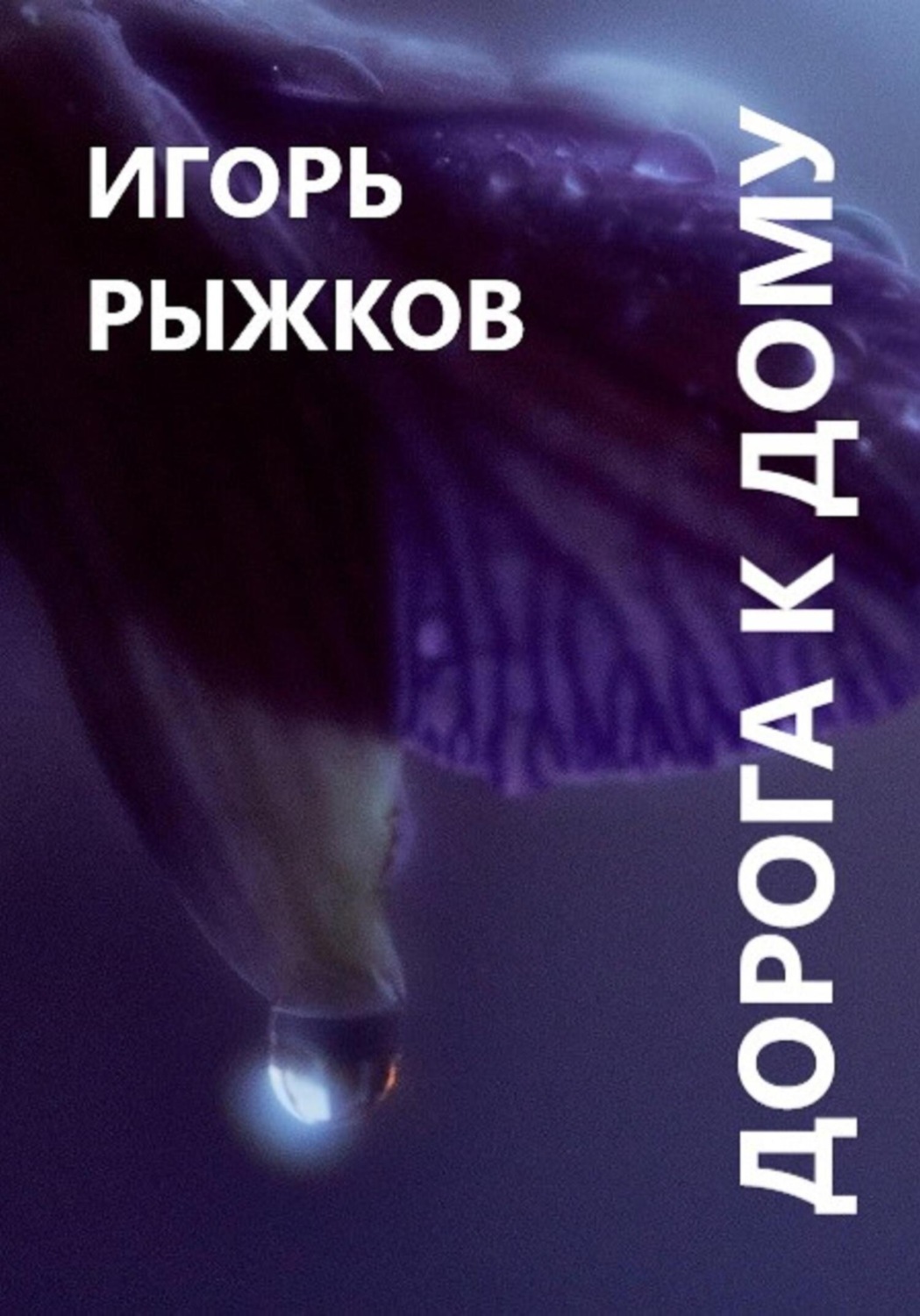 Обложка книги «Дорога к дому»