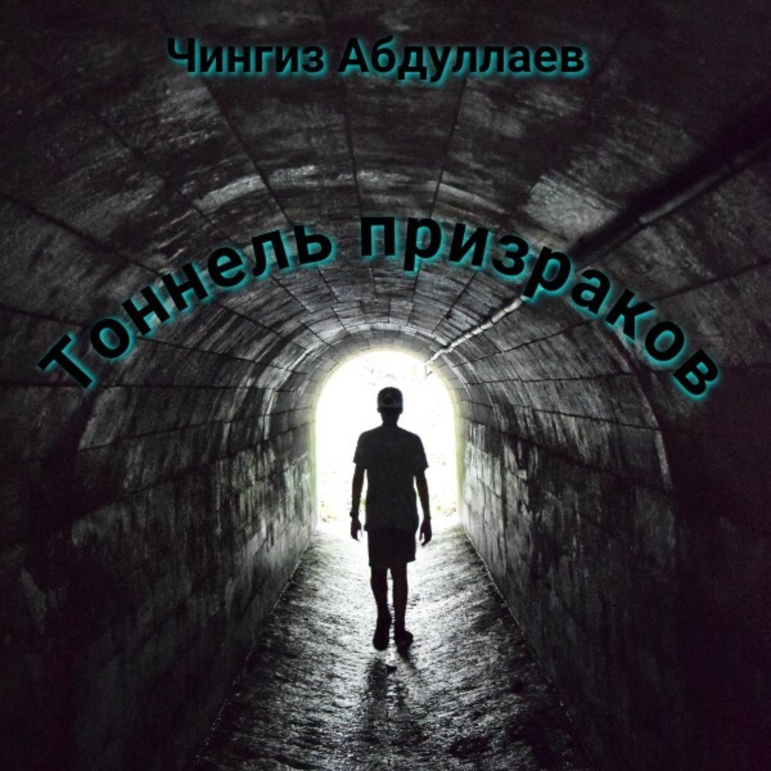 Обложка книги «Тоннель призраков»