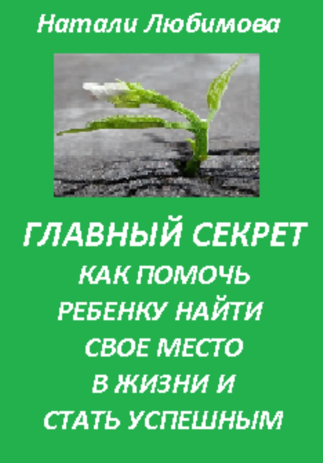 Обложка книги «Успешный ребенок. Главный секрет как помочь ребенку найти свое место в жизни и стать успешным»