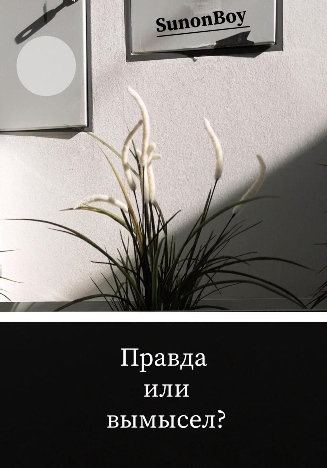 Обложка книги «Правда или вымысел?»