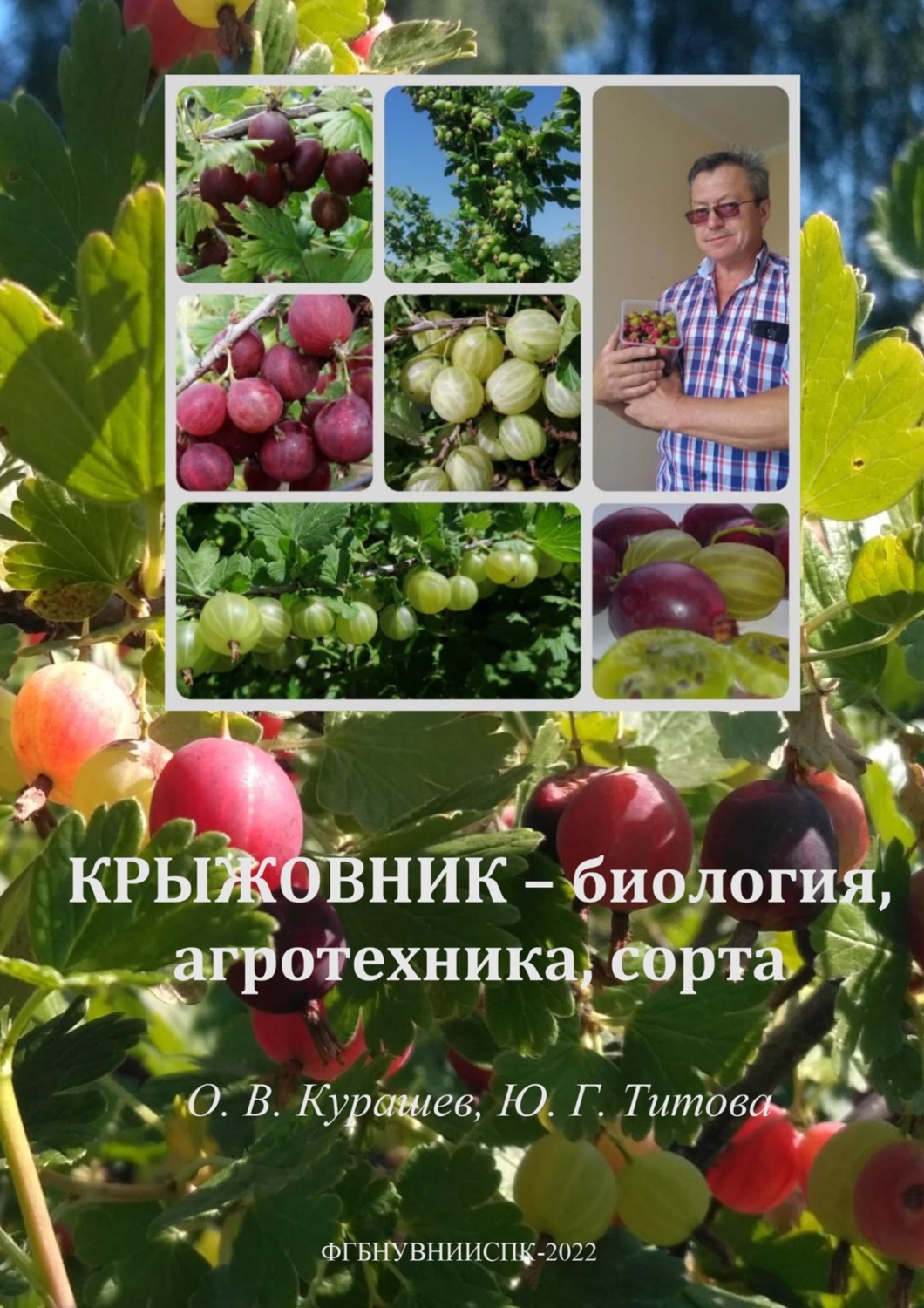 Обложка книги «Крыжовник – биология, агротехника, сорта»