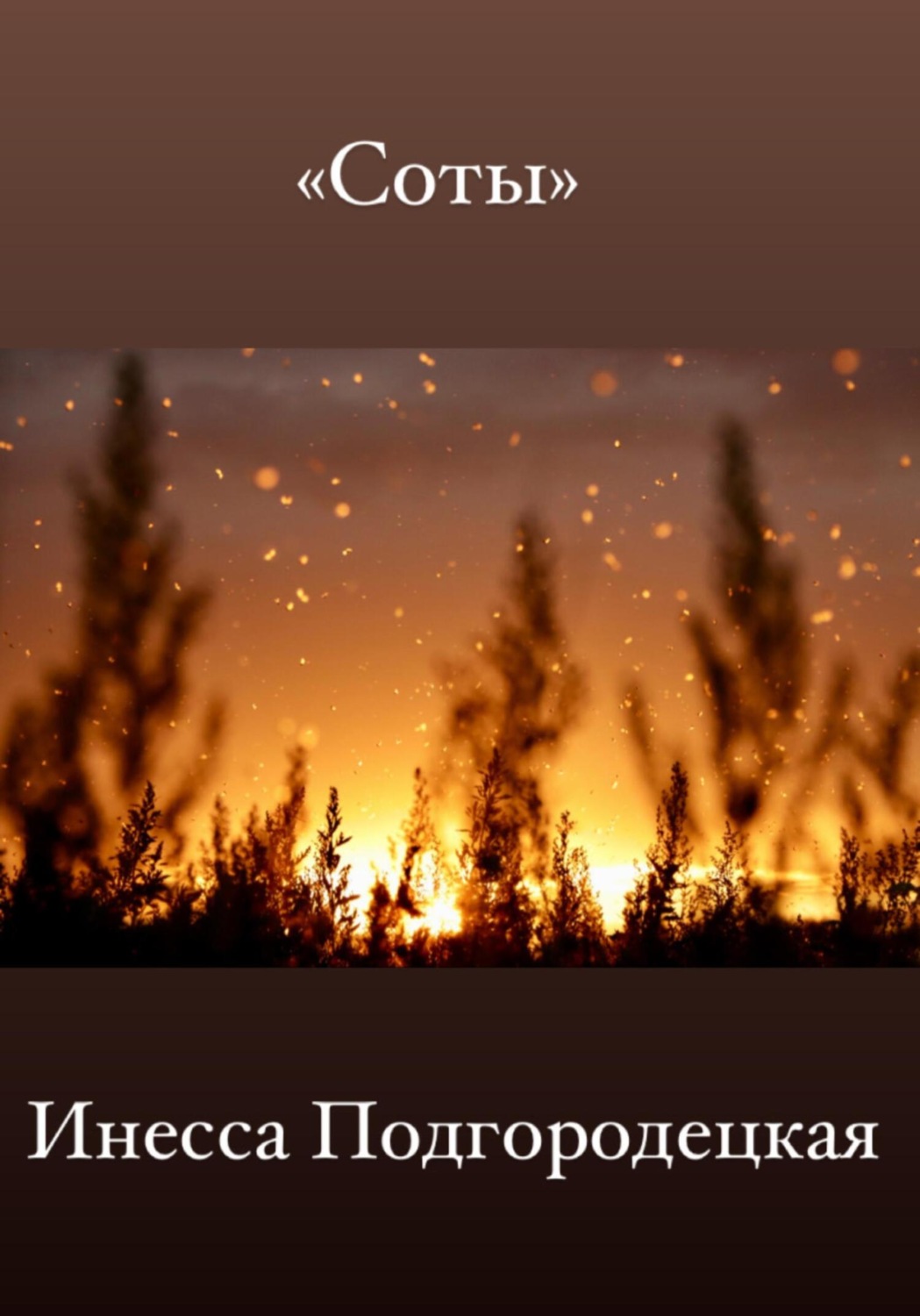 Обложка книги «Соты»