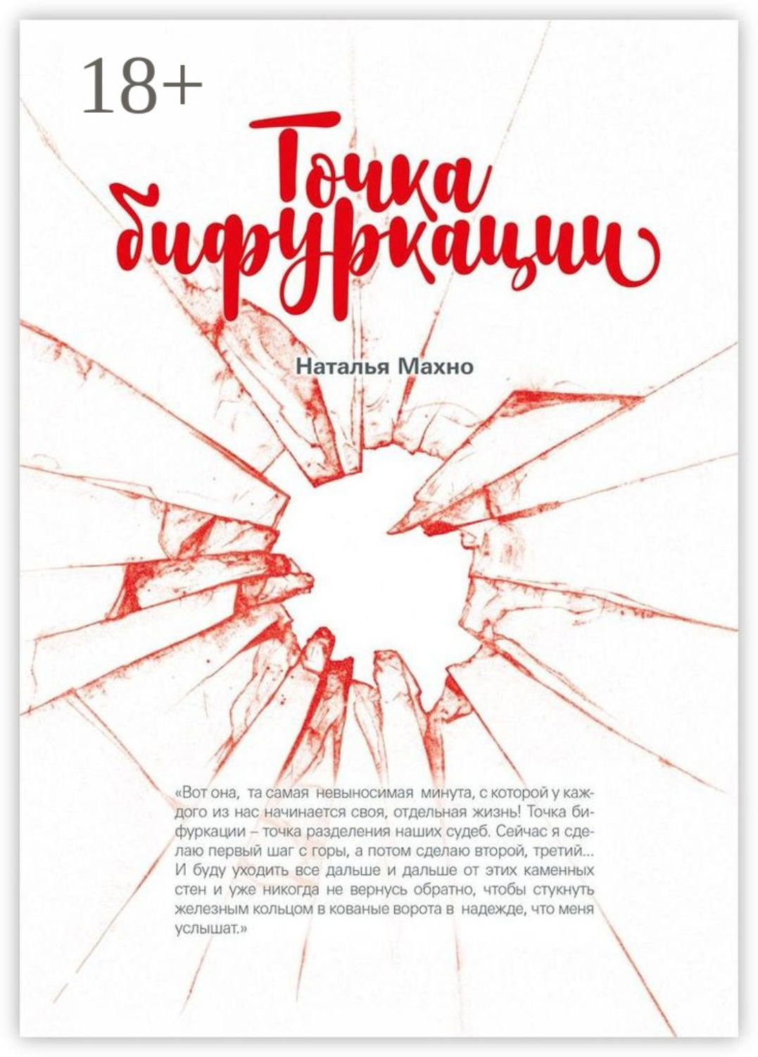 Обложка книги «Точка бифуркации. Повесть»
