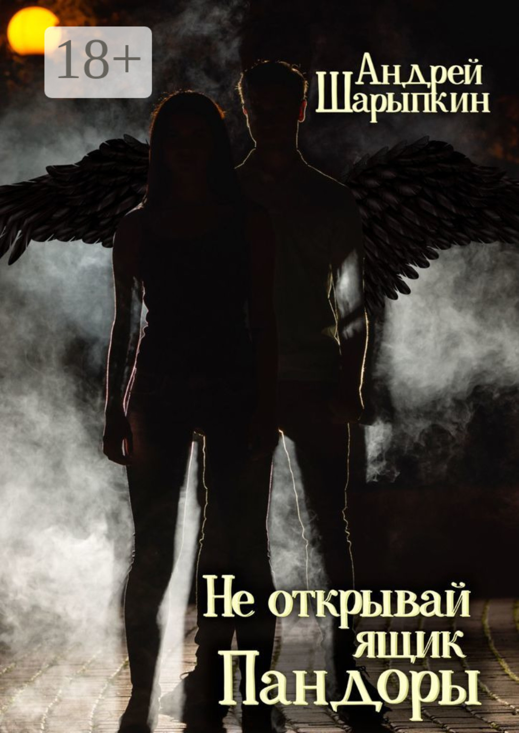 Обложка книги «Не открывай ящик Пандоры»
