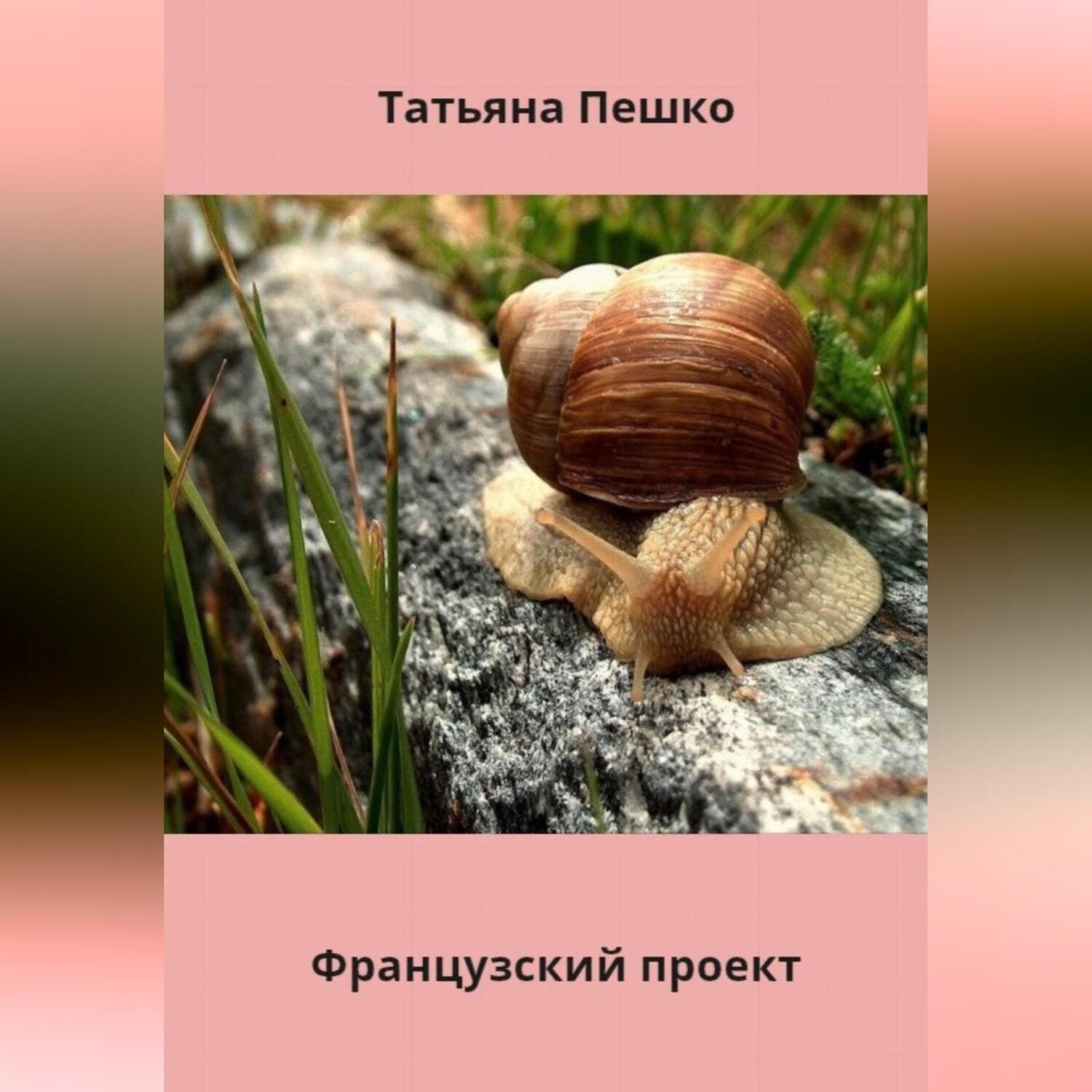 Обложка книги «Французский проект»