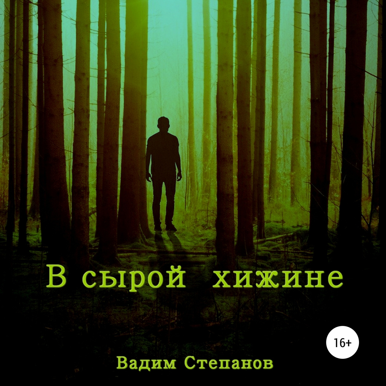 Обложка книги «В сырой хижине»