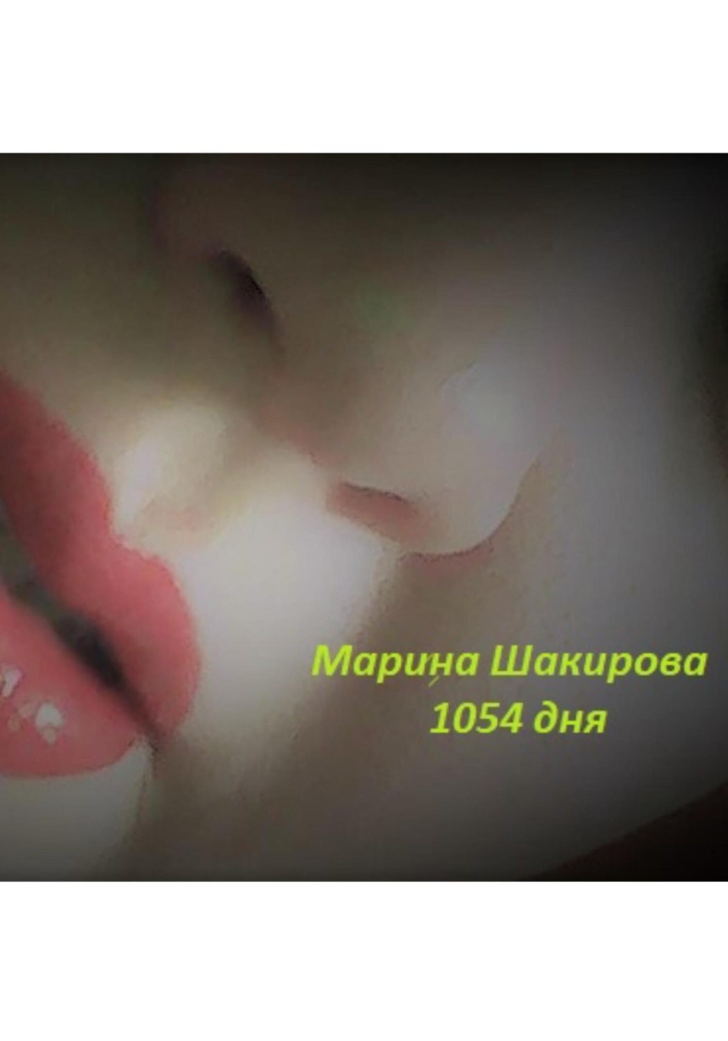 Обложка книги «1054 дня»
