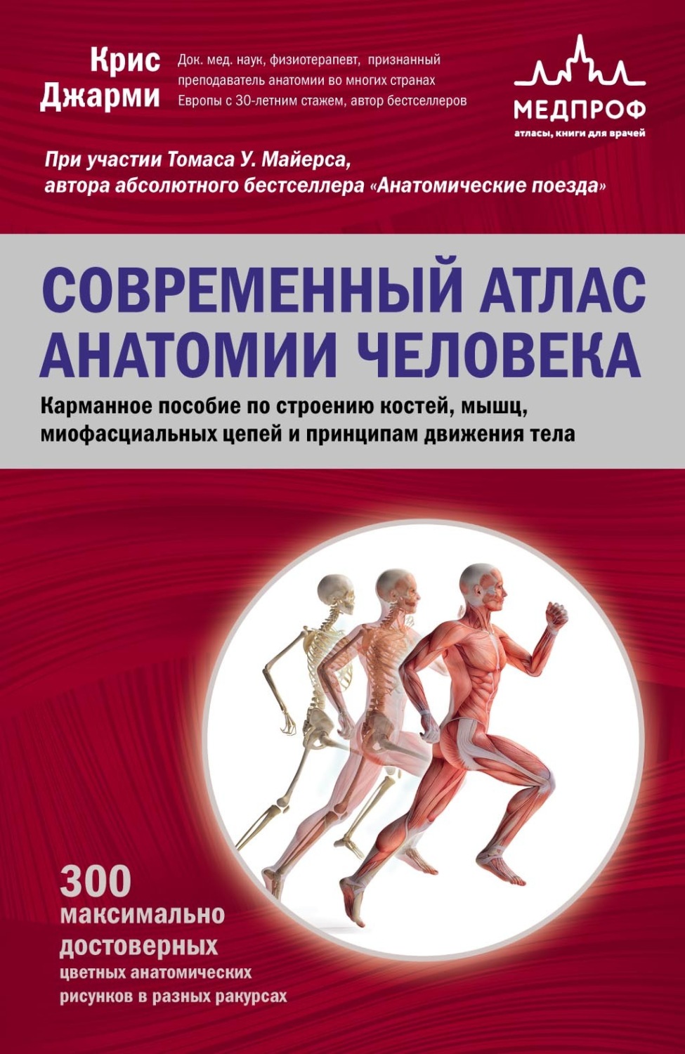 Обложка книги «Современный атлас анатомии человека. Карманное пособие по строению костей, мышц, миофасциальных цепей и принципам движения тела»