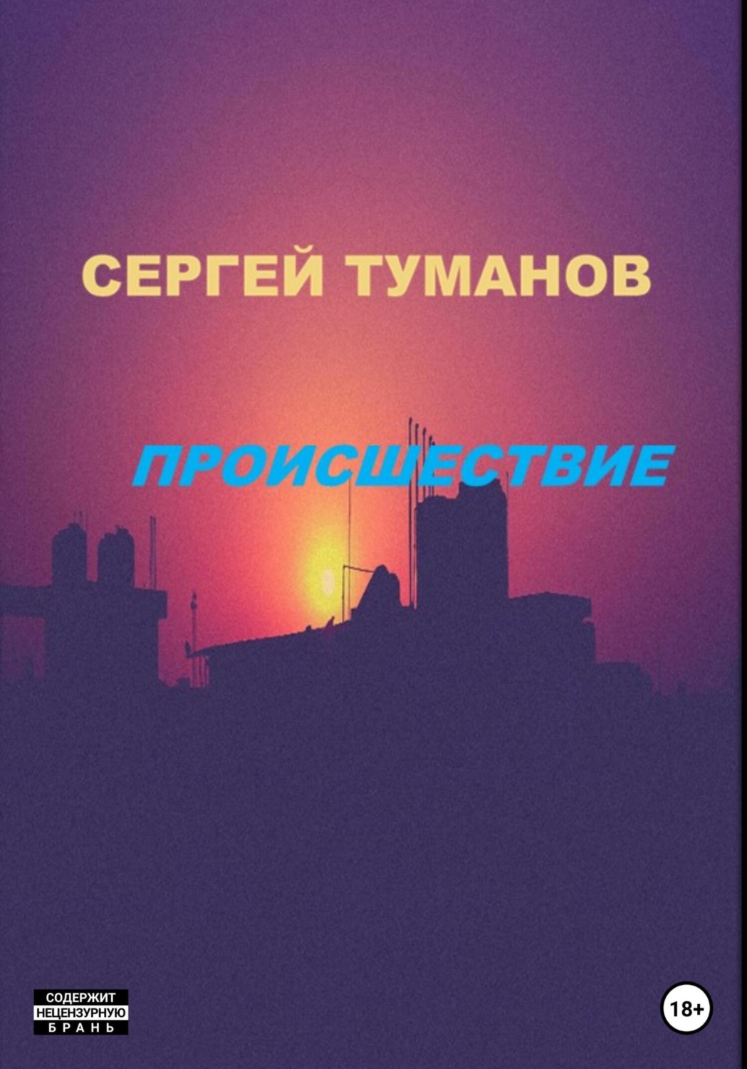 Обложка книги «Происшествие»