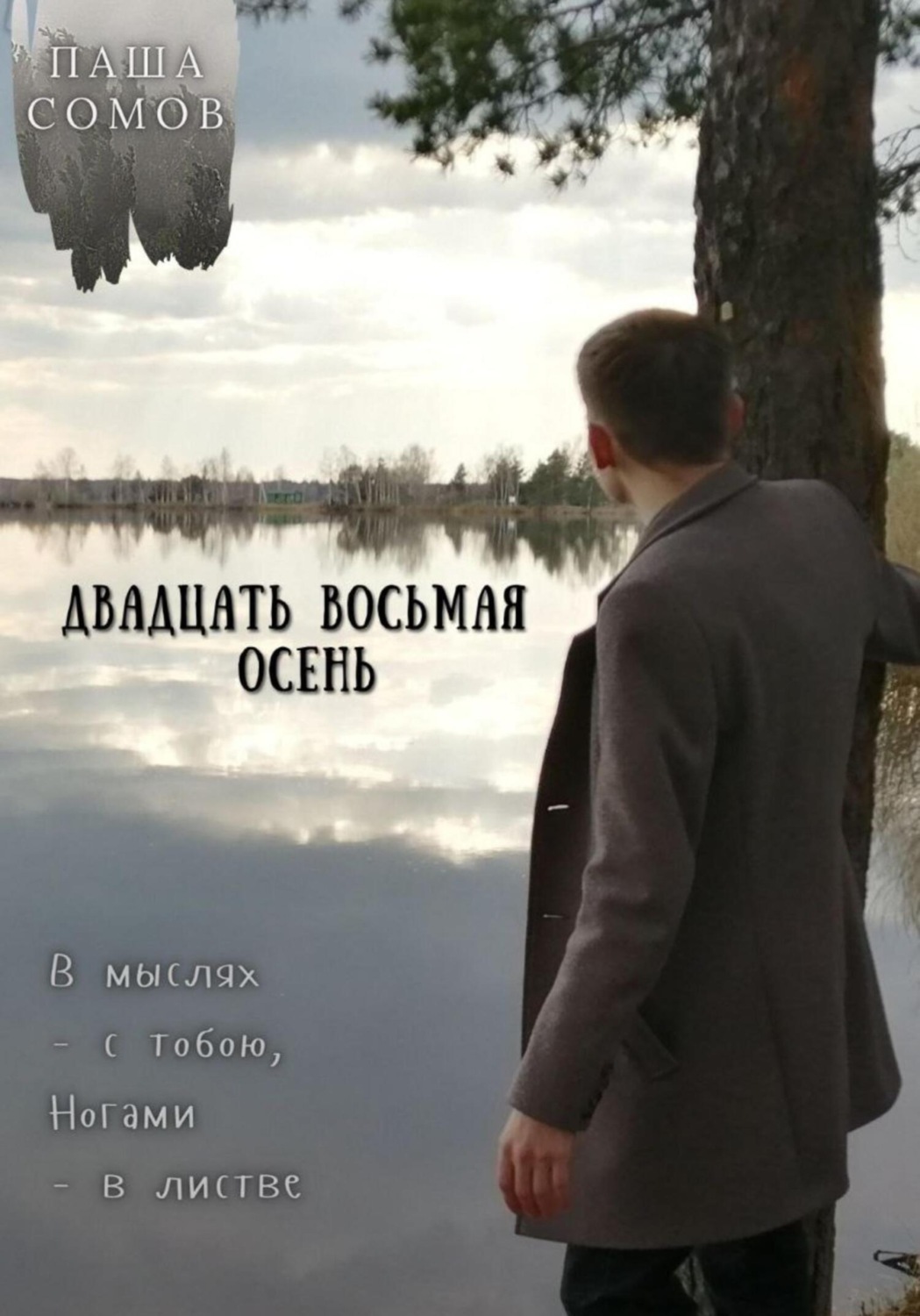 Обложка книги «Двадцать восьмая осень»