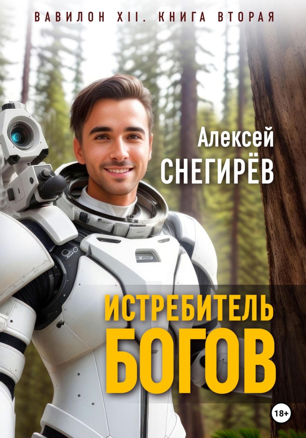 Обложка книги «Истребитель богов»