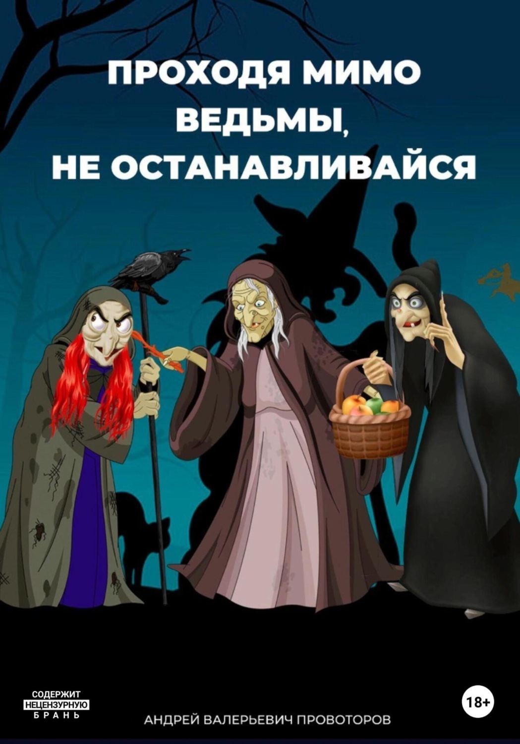 Обложка книги «Проходя мимо ведьмы, не останавливайся»
