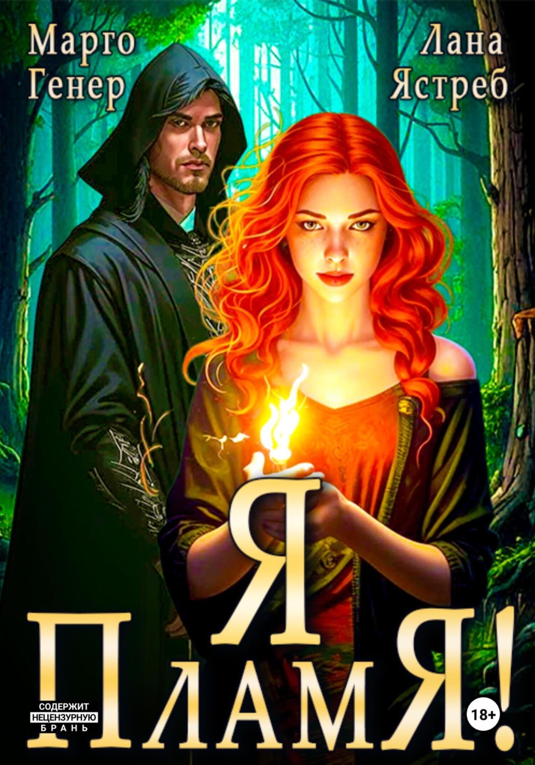 Обложка книги «Я – пламя!»