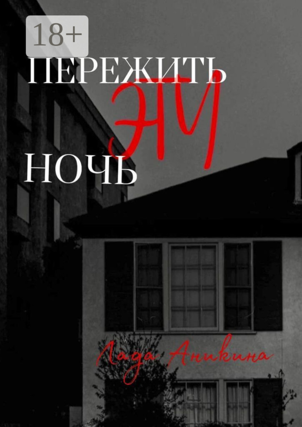 Обложка книги «Пережить эту ночь»