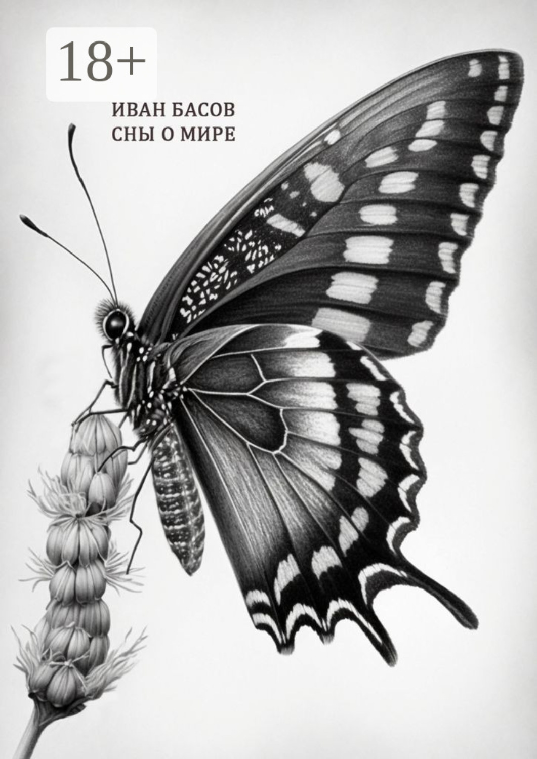 Обложка книги «Сны о мире»