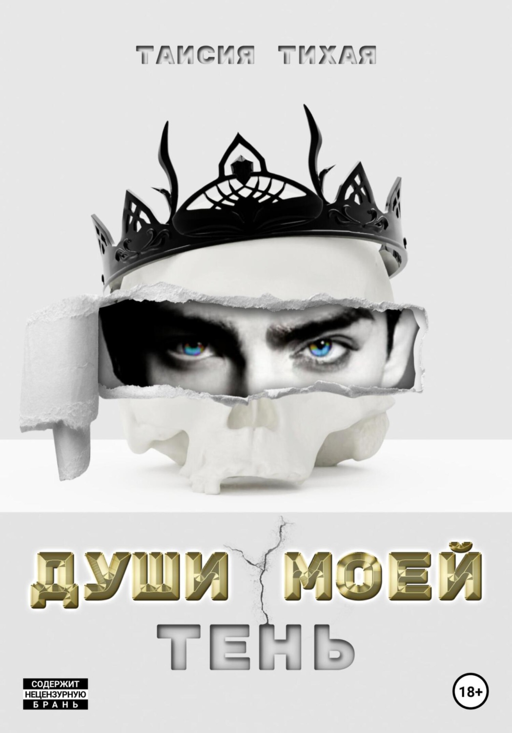 Обложка книги «Души моей тень»