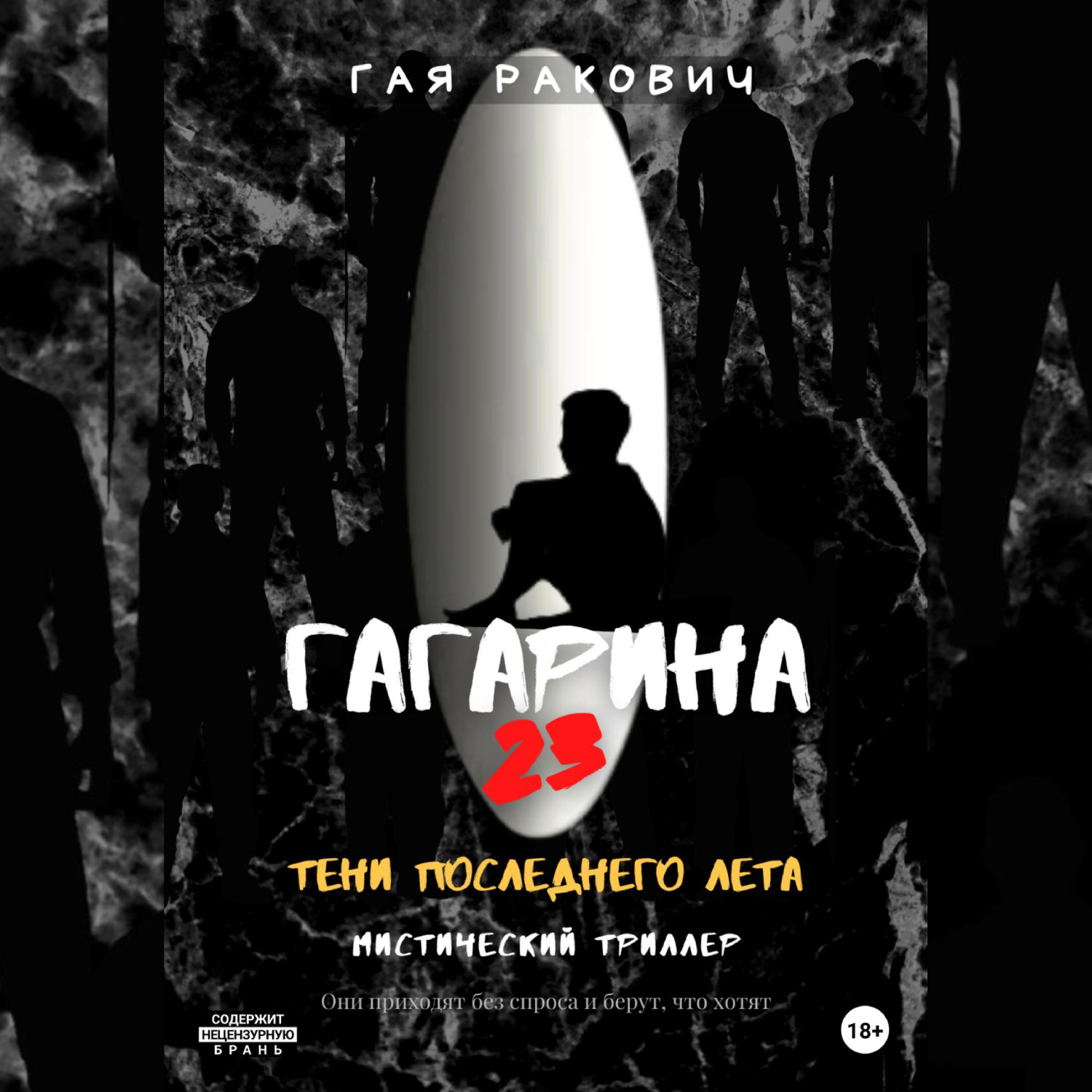 Обложка книги «Гагарина, 23. Тени последнего лета»