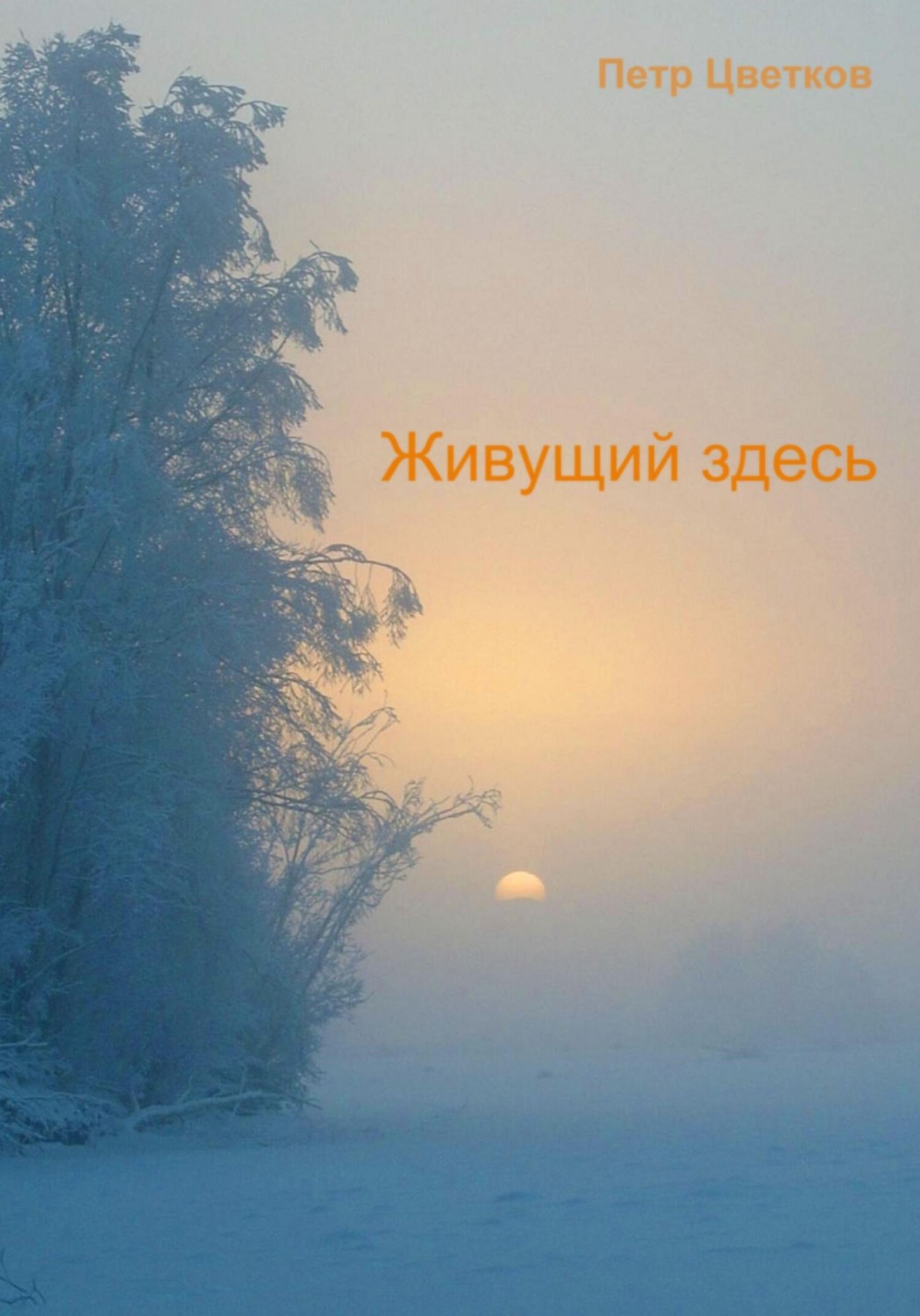 Обложка книги «Живущий здесь»