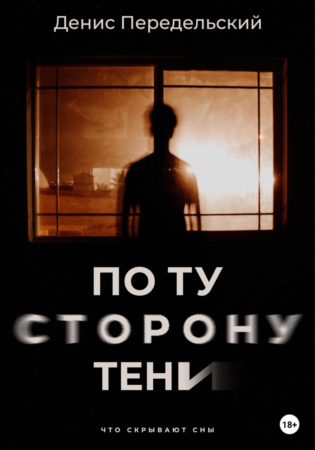 Обложка книги «По ту сторону тени»
