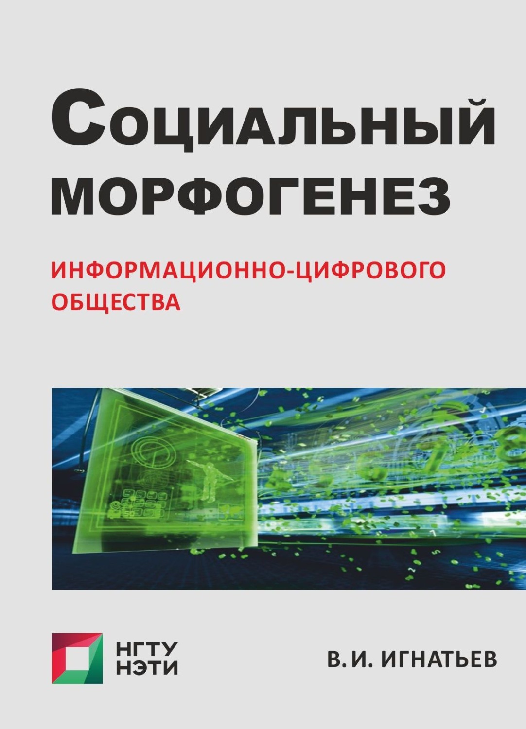 Обложка книги «Социальный морфогенез информационно-цифрового общества. Очерки социологии гибридного социума»