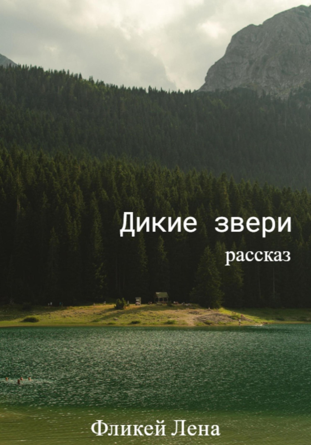 Обложка книги «Дикие Звери. Рассказ»