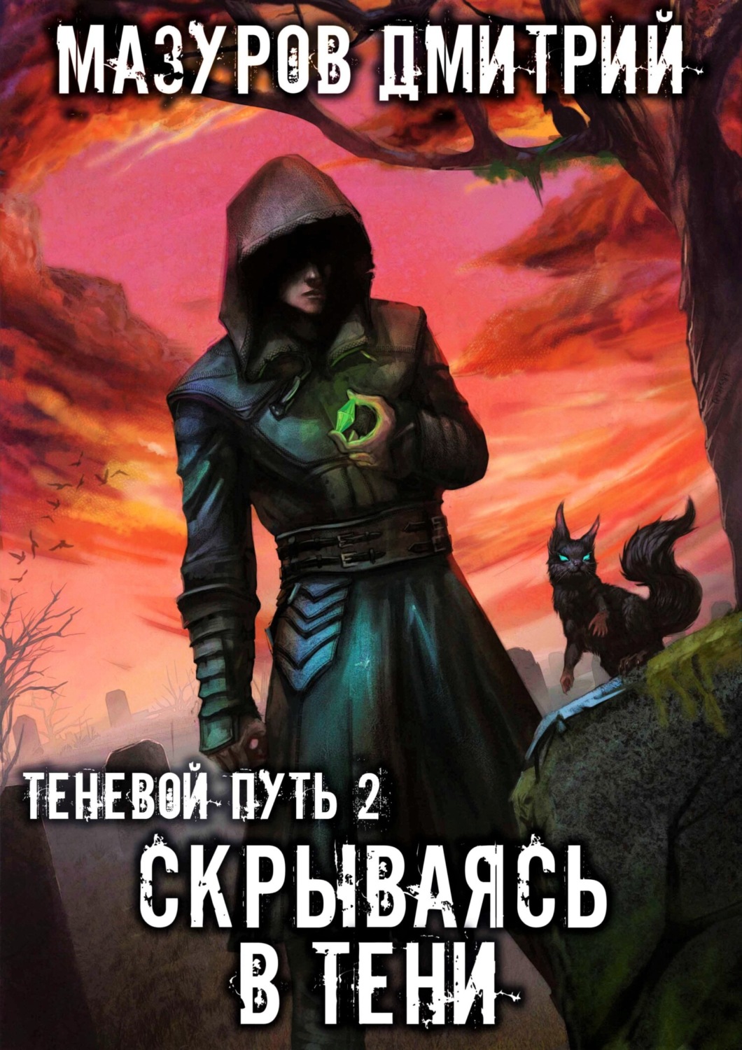 Обложка книги «Скрываясь в тени»