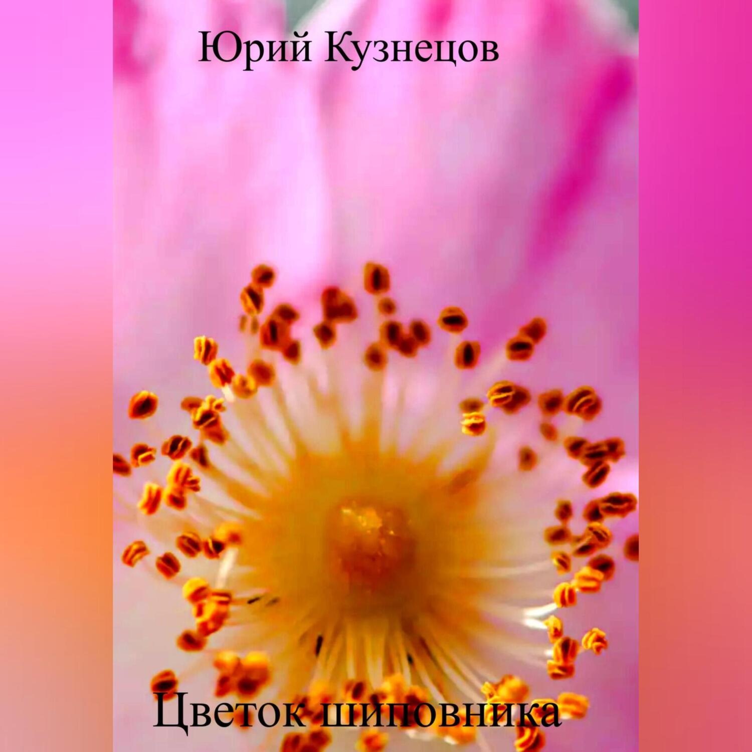 Обложка книги «Цветок шиповника»