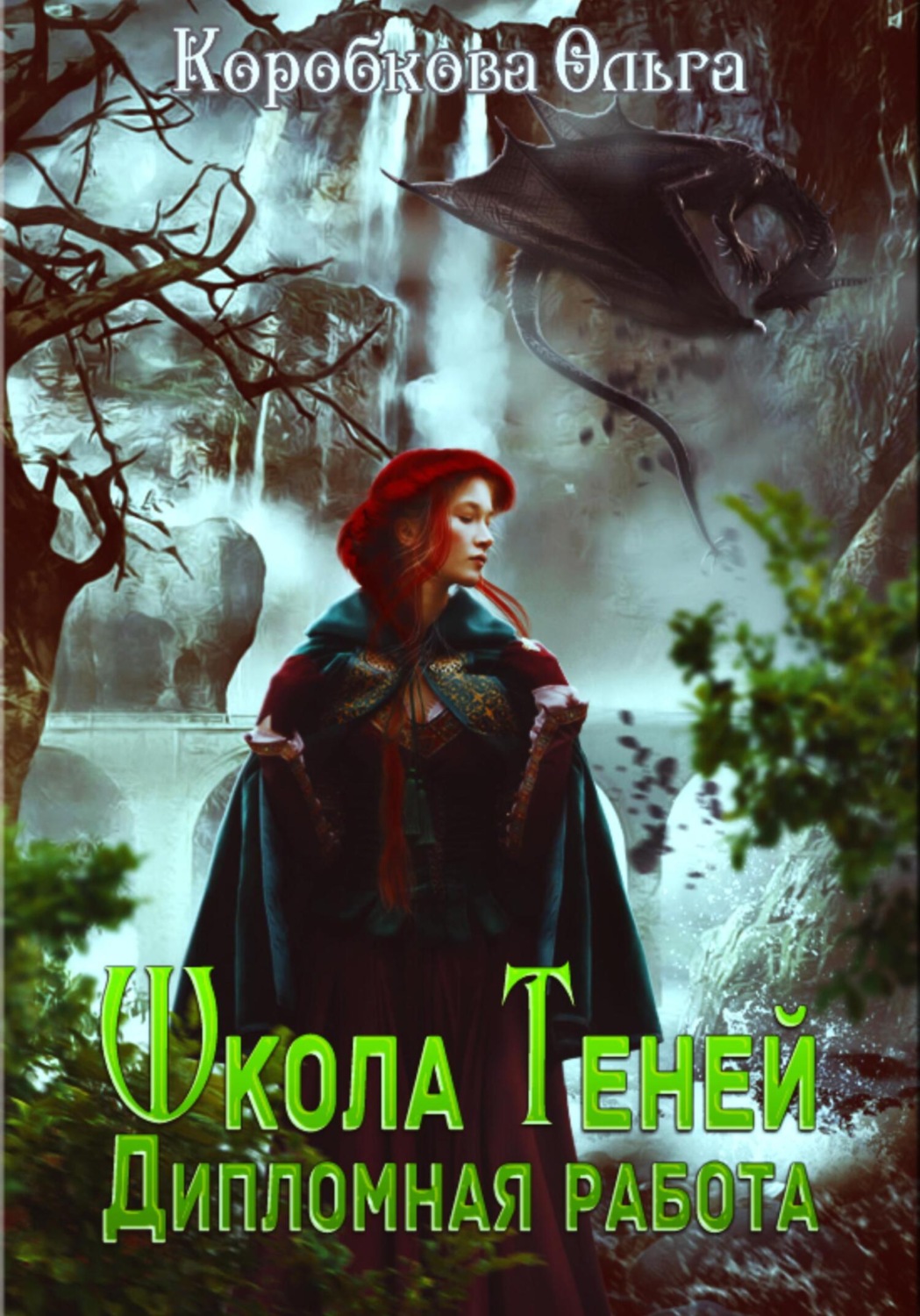 Обложка книги «Школа теней. Дипломная работа»