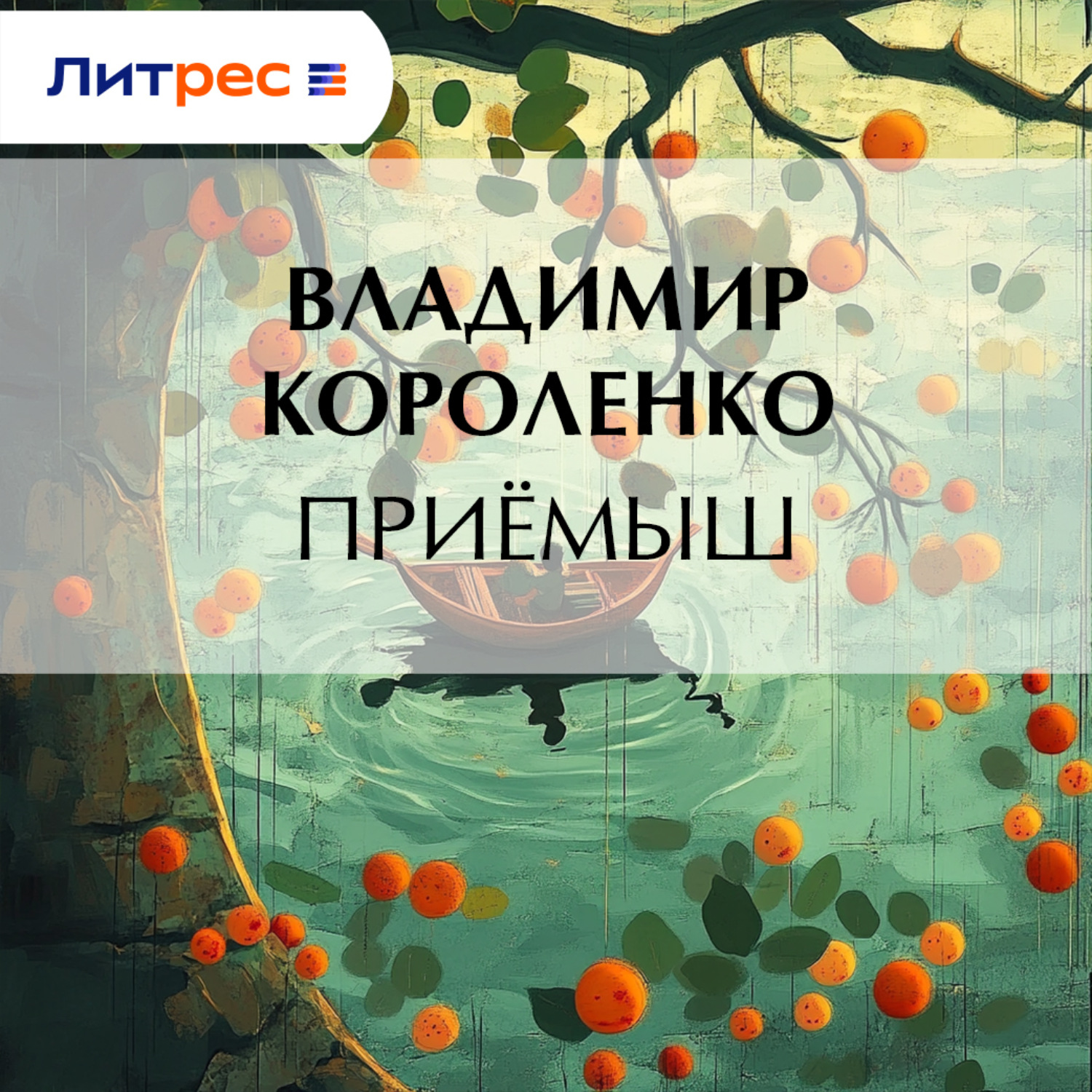 Обложка книги «Приемыш»