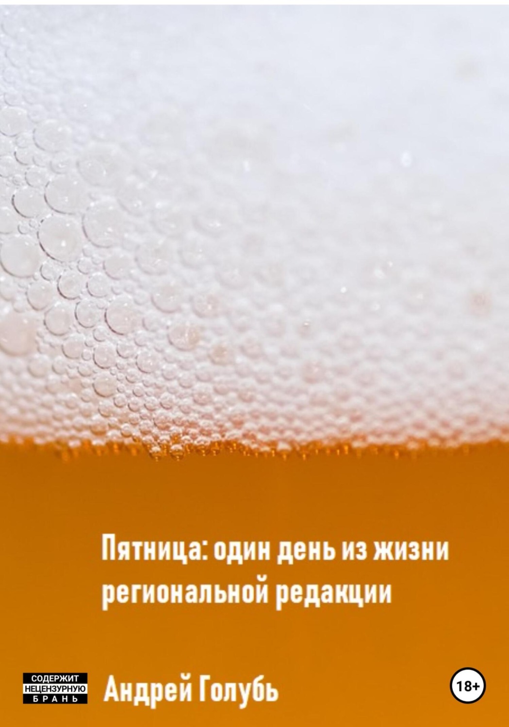 Обложка книги «Пятница: один день из жизни региональной редакции»
