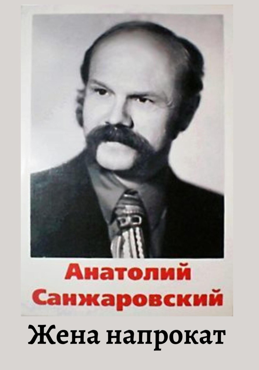 Обложка книги «Жена напрокат»
