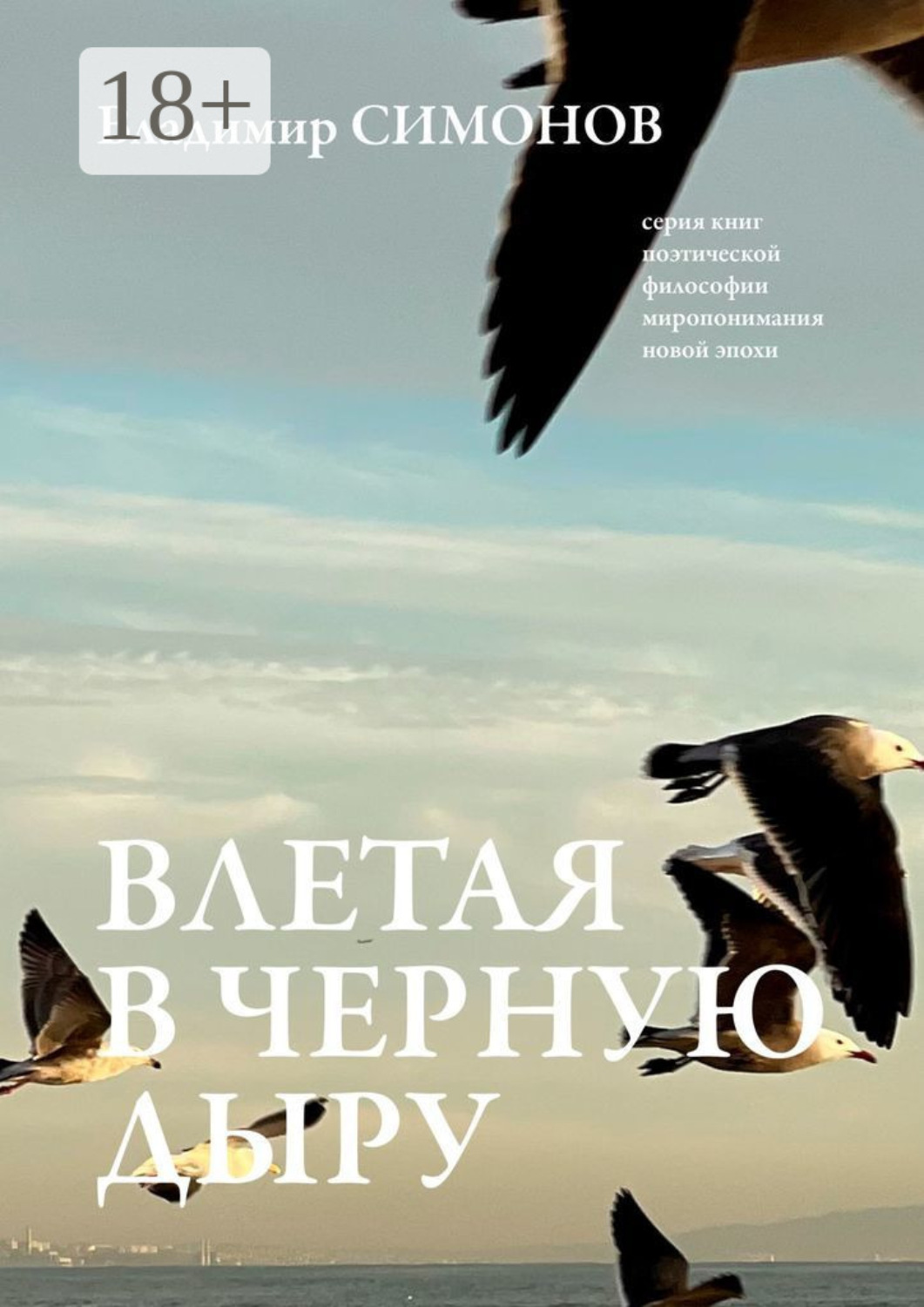 Обложка книги «Влетая в Черную дыру. Серия книг поэтической философии миропонимания новой эпохи»