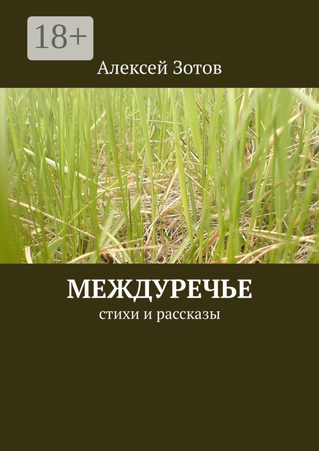 Обложка книги «Междуречье. Стихи и рассказы»