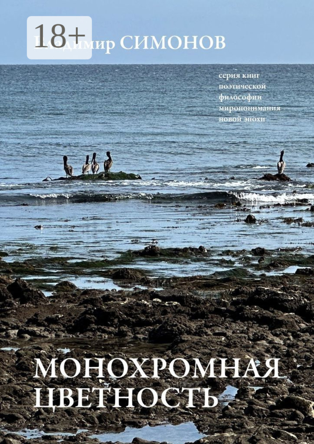Обложка книги «Монохромная цветность. Серия книг поэтической философии миропонимания новой эпохи»