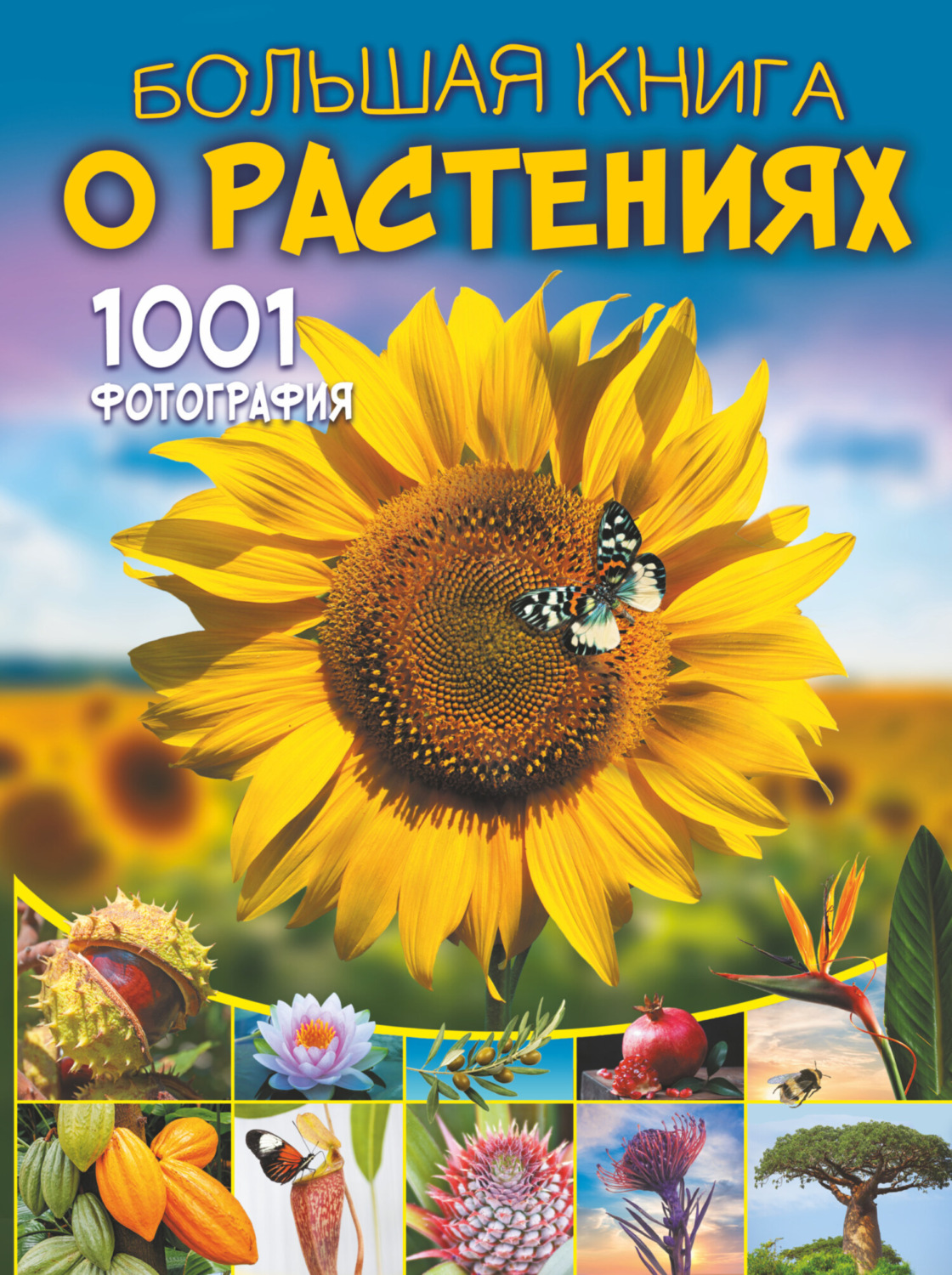 Обложка книги «Большая книга о растениях. 1001 фотография»